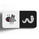 ⁦سلسلة أبيض وأسود 4 كتب⁩ - الصورة ⁦9⁩